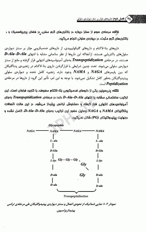 مکانیسم عملکرد و مقاومت داروهای ضد میکروبی