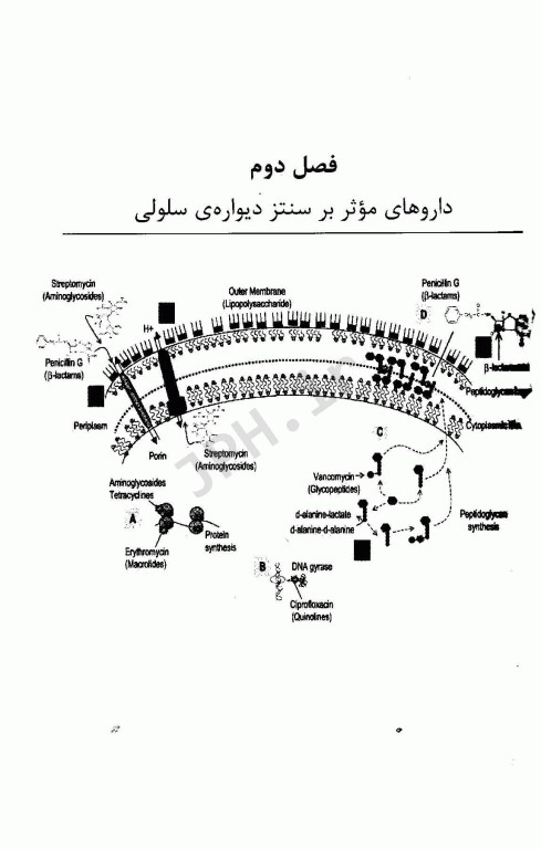 مکانیسم عملکرد و مقاومت داروهای ضد میکروبی