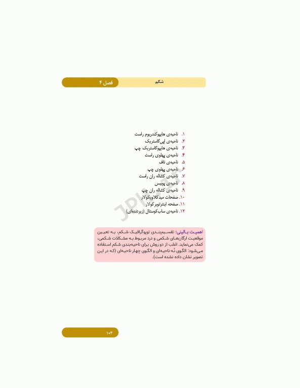 کتابچه اطلس آناتومی گری برای دانشجویان 2024