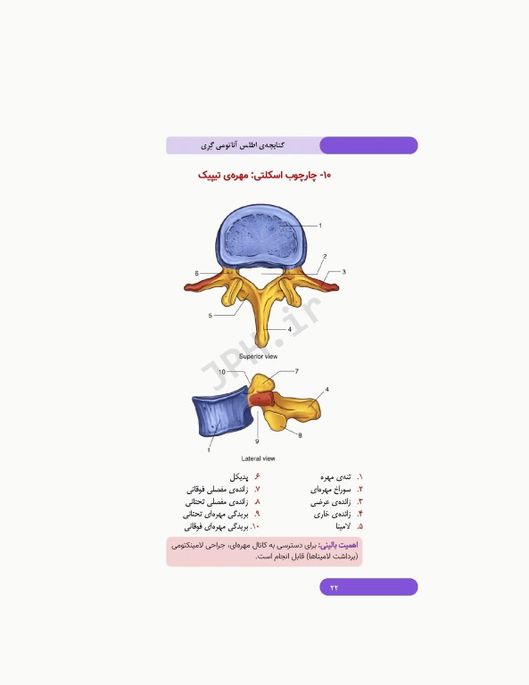 کتابچه اطلس آناتومی گری برای دانشجویان 2024