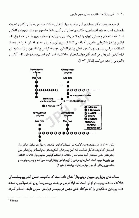 آنتی بیوتیک‌ها مکانیسم عمل و شیمی دارویی