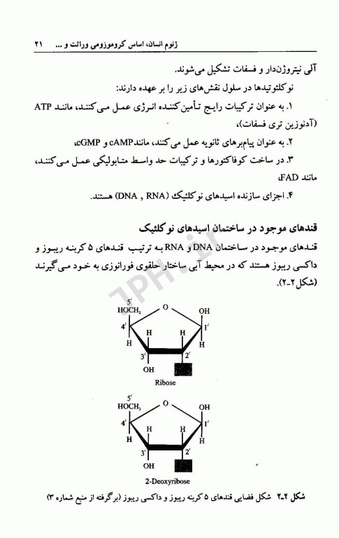 مبانی ژنتیک پزشکی و مشاوره آن دکتر فرهود