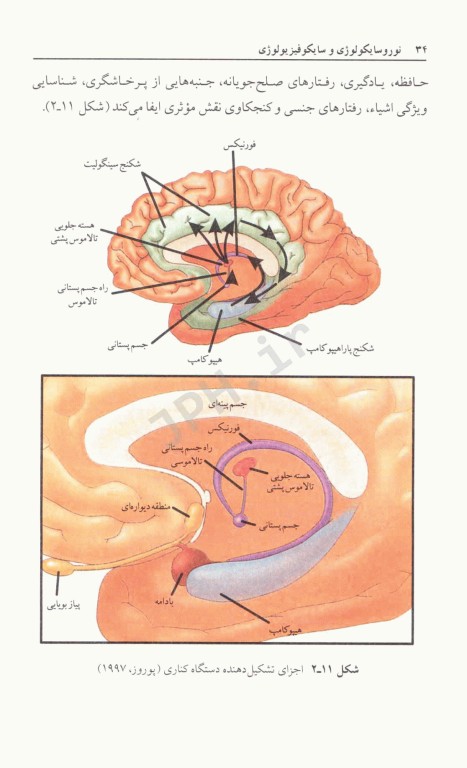 نوروسایکولوژی و سایکوفیزیولوژی دکتر خداپناهی