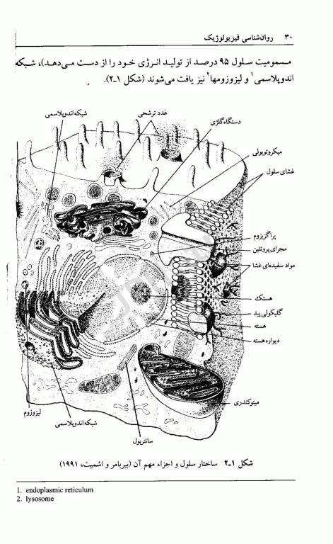 روان شناسی فیزیولوژیک دکتر محمدکریم خداپناهی