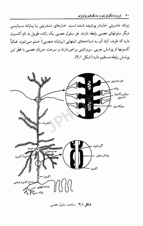 نوروسایکولوژی و سایکوفیزیولوژی دکتر خداپناهی