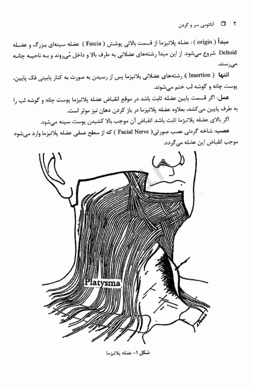 آناتومی سر و گردن دکتر رضا حجازی