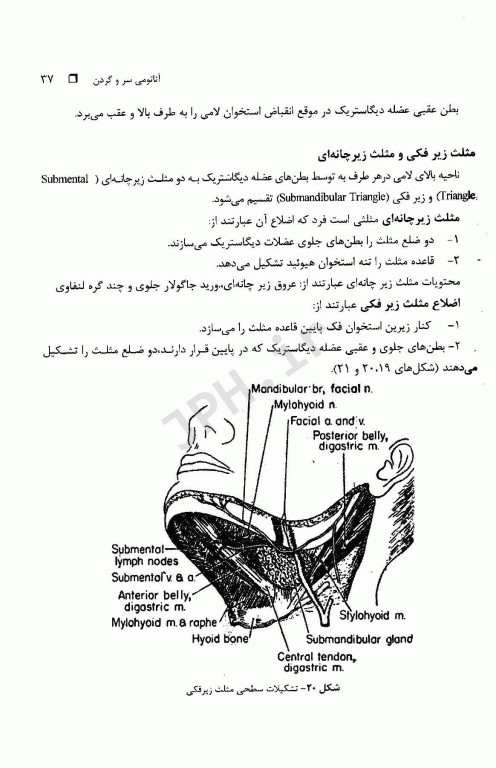 آناتومی سر و گردن دکتر رضا حجازی