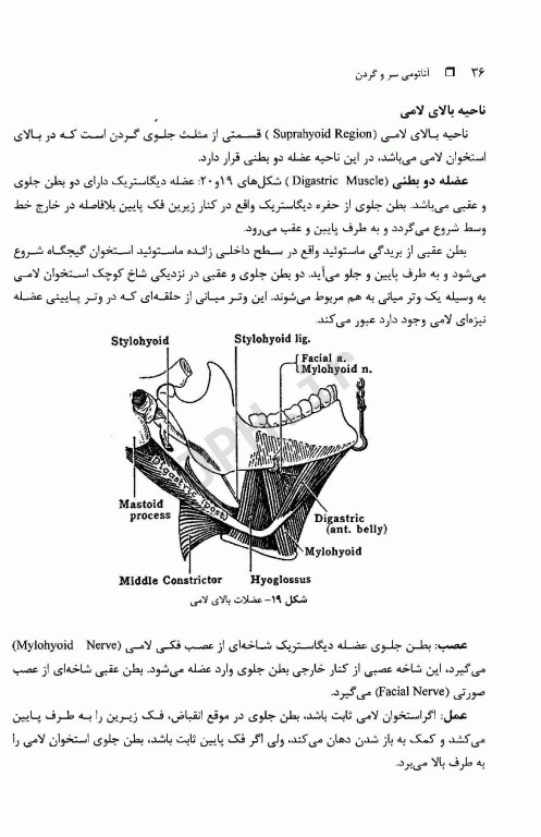 آناتومی سر و گردن دکتر رضا حجازی