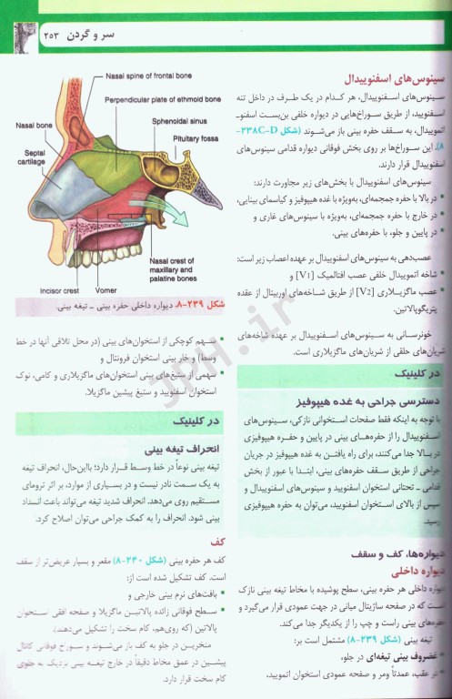 آناتومی گری برای دانشجویان 2024 ترجمه دکتر حسن‌زاده جلد سوم سر و گردن