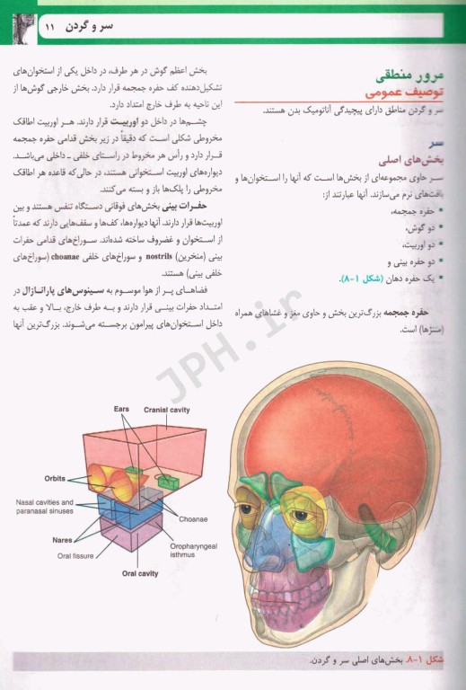 آناتومی گری برای دانشجویان 2024 ترجمه دکتر حسن‌زاده جلد سوم سر و گردن