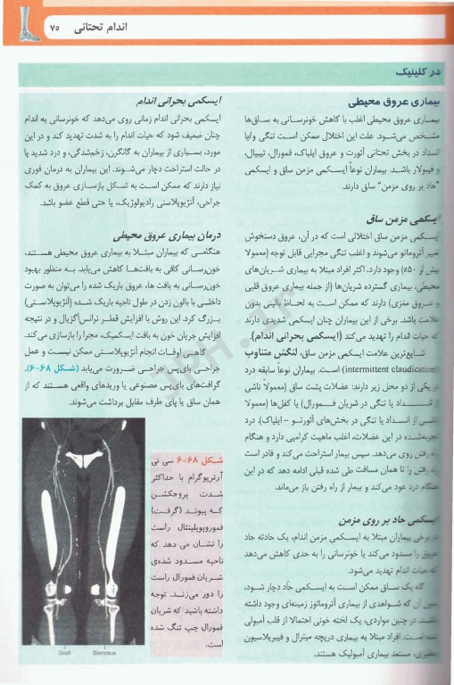 آناتومی گری برای دانشجویان  2024 ترجمه دکتر حسن‌زاده جلد دوم اندام