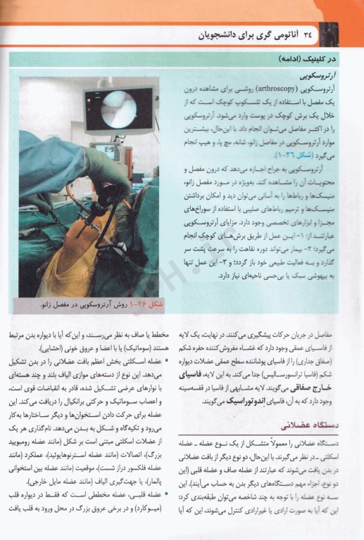 آناتومی گری برای دانشجویان 2024 ترجمه دکتر حسن‌زاده جلد اول تنه