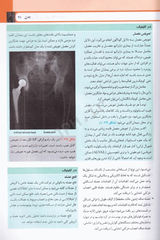 آناتومی گری برای دانشجویان 2024 ترجمه دکتر حسن‌زاده جلد اول تنه