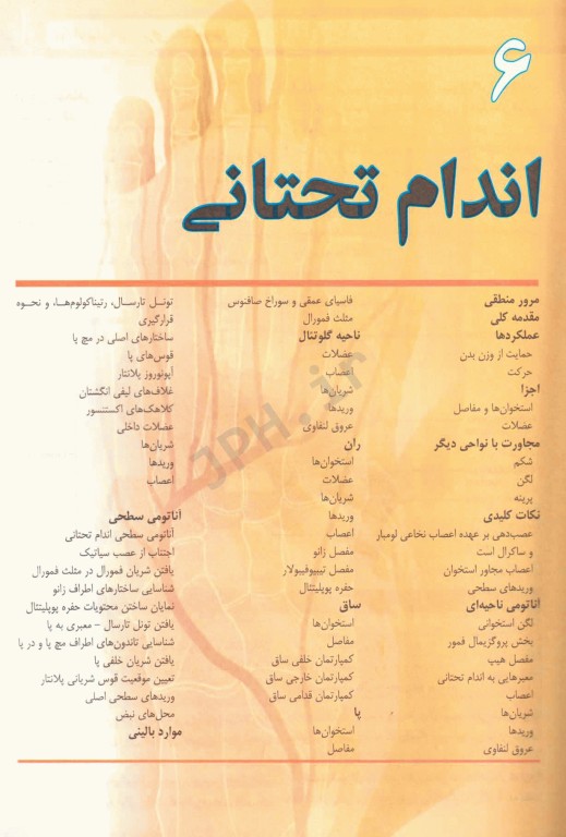 آناتومی گری برای دانشجویان  2024 ترجمه دکتر حسن‌زاده جلد دوم اندام