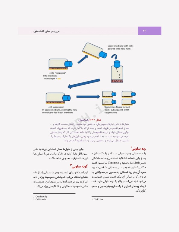 مروری بر مبانی کشت سلول