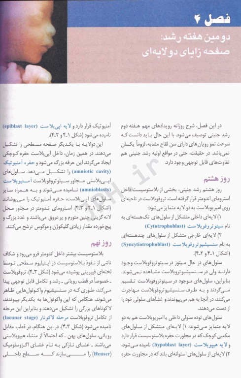 جنین‌شناسی پزشکی لانگمن 2023 دکتر عمیدی جلد شومیز