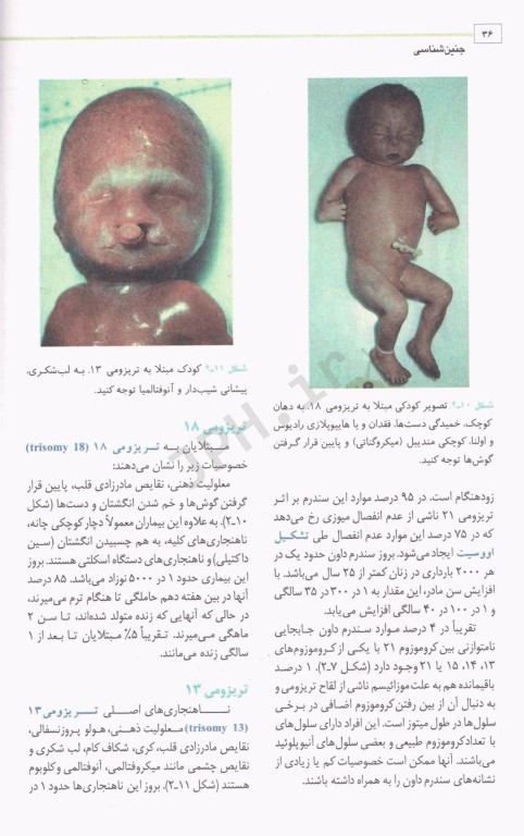 جنین‌شناسی پزشکی لانگمن 2023 دکتر عمیدی جلد شومیز