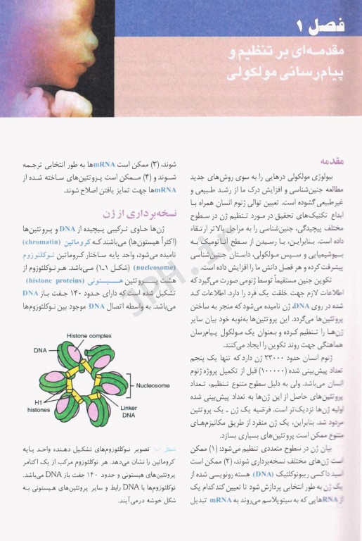 جنین‌شناسی پزشکی لانگمن 2023 دکتر عمیدی جلد شومیز