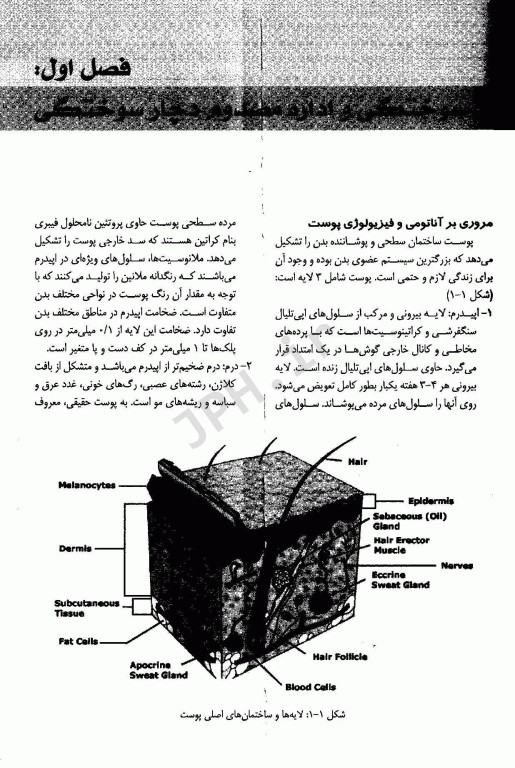 اورژانس‌های پیش بیمارستانی فوریت‌های محیطی‌
