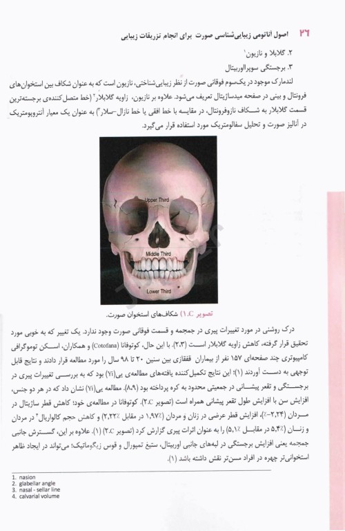 اصول آناتومی زیبایی شناسی صورت برای انجام تزریقات زیبایی