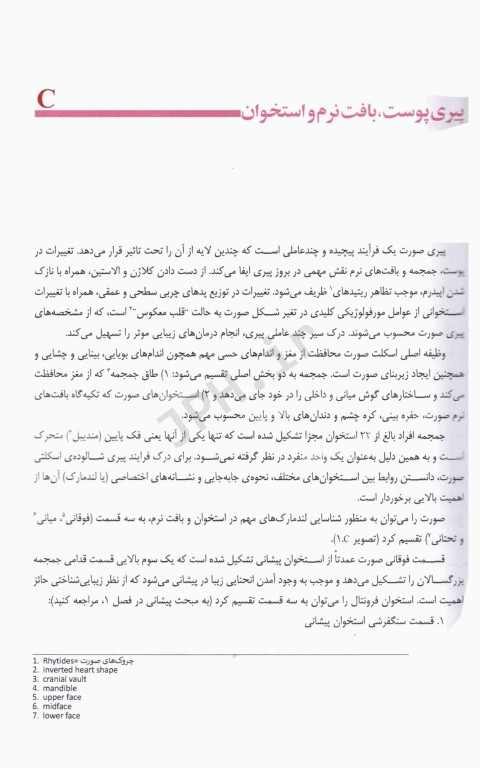 اصول آناتومی زیبایی شناسی صورت برای انجام تزریقات زیبایی