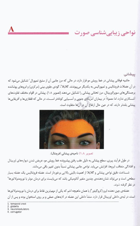 اصول آناتومی زیبایی شناسی صورت برای انجام تزریقات زیبایی