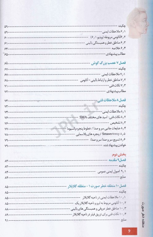 منطقه خطر صورت