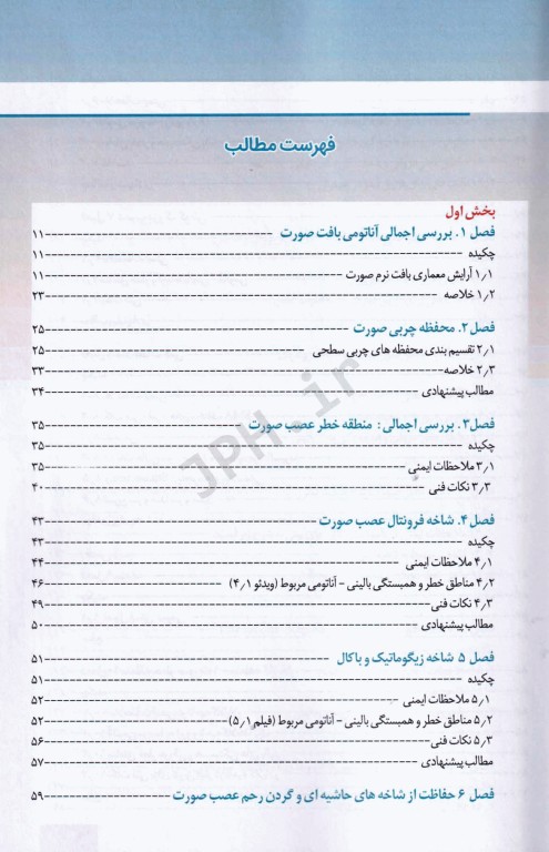 منطقه خطر صورت