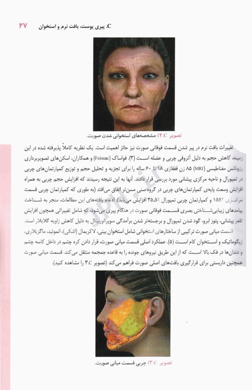 اصول آناتومی زیبایی شناسی صورت برای انجام تزریقات زیبایی