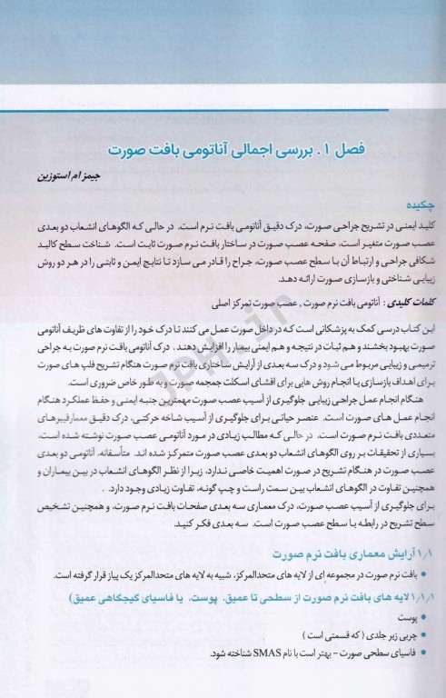 منطقه خطر صورت