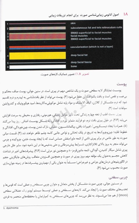 اصول آناتومی زیبایی شناسی صورت برای انجام تزریقات زیبایی