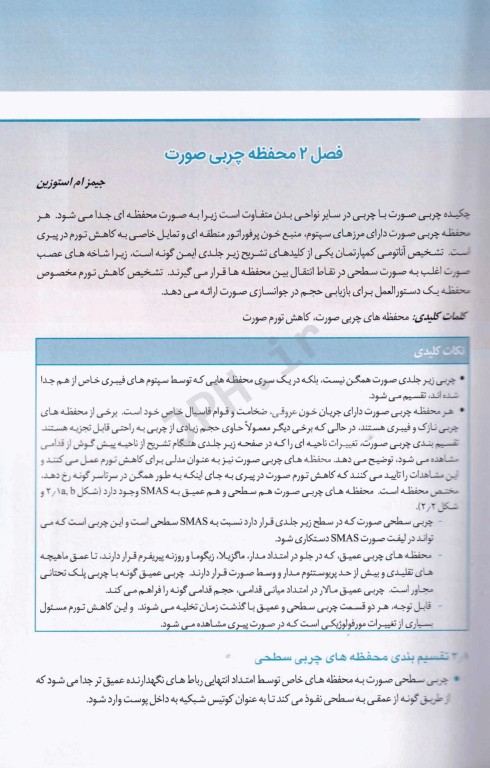 منطقه خطر صورت