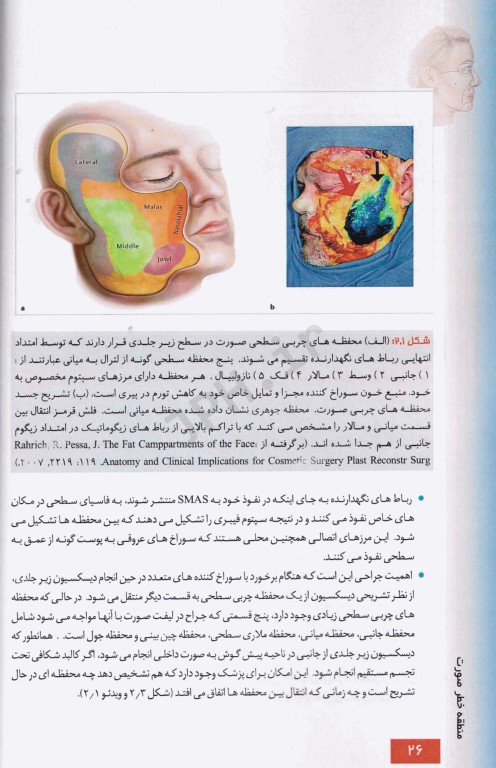 منطقه خطر صورت