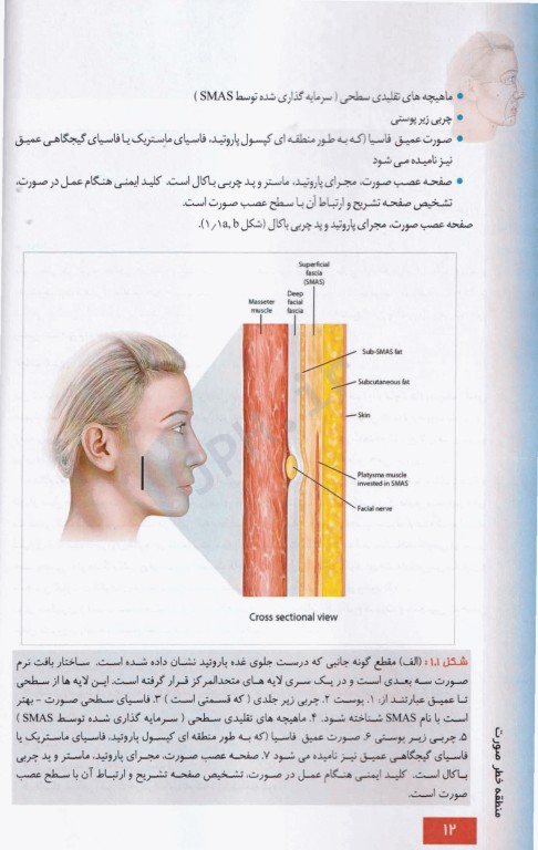 منطقه خطر صورت