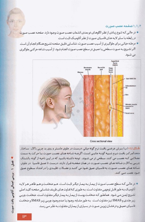 منطقه خطر صورت