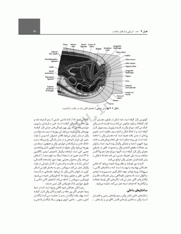 پرستاری بهداشت مادران و نوزادان لودرمیلک 2020