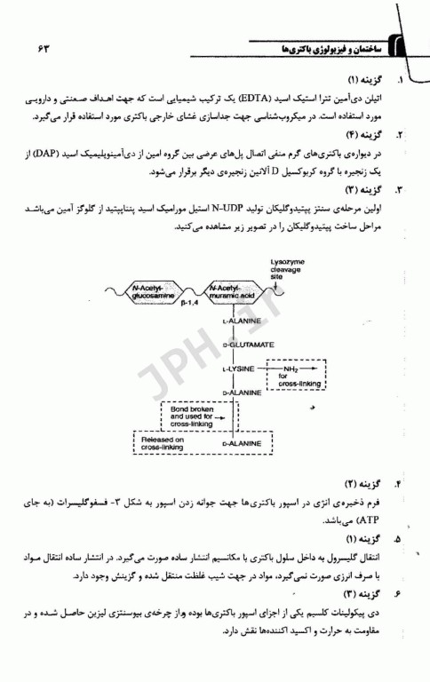 مجموعه سوالات طبقه بندی شده کارشناسی ارشد و دکتری تخصصی TNT باکتری شناسی