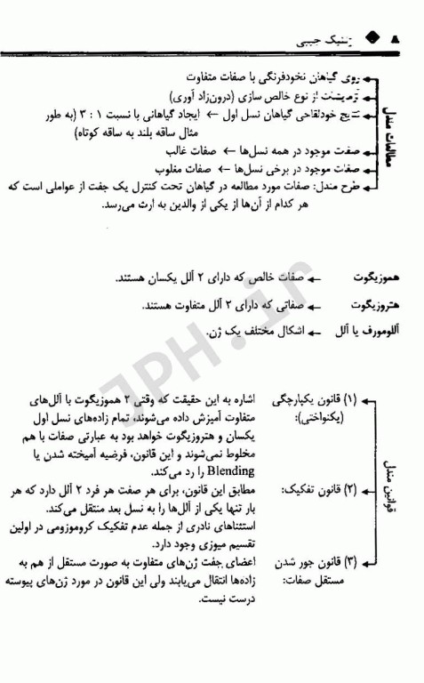 ژنتیک جیبی تالیف دکتر فاطمه شجاعی و مریم اسدنژاد