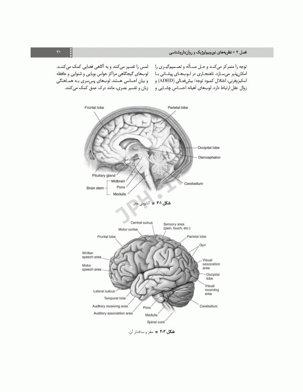 پرستاری سلامت روانی و روان پرستاری شیلا ویدبک 2022