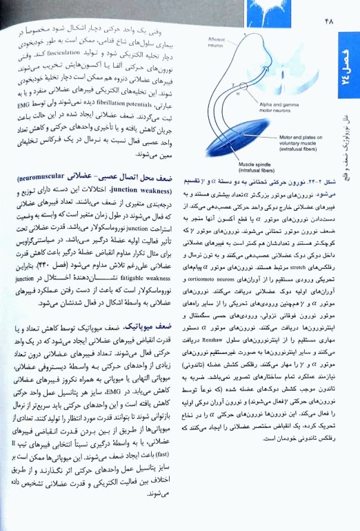 اصول طب داخلی هاریسون 2022 بیماری‌های مغز و اعصاب