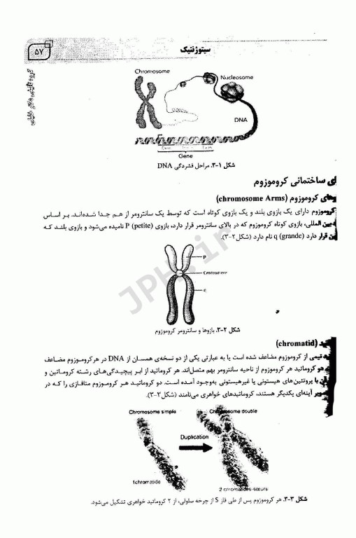 جامع ژنتیک پزشکی