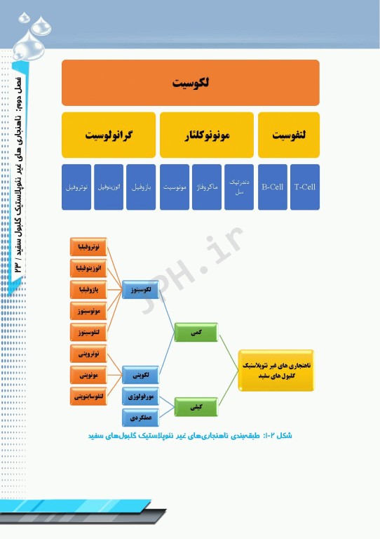 از تشخیص آزمایشگاهی تا درمان لوسمی‌ها