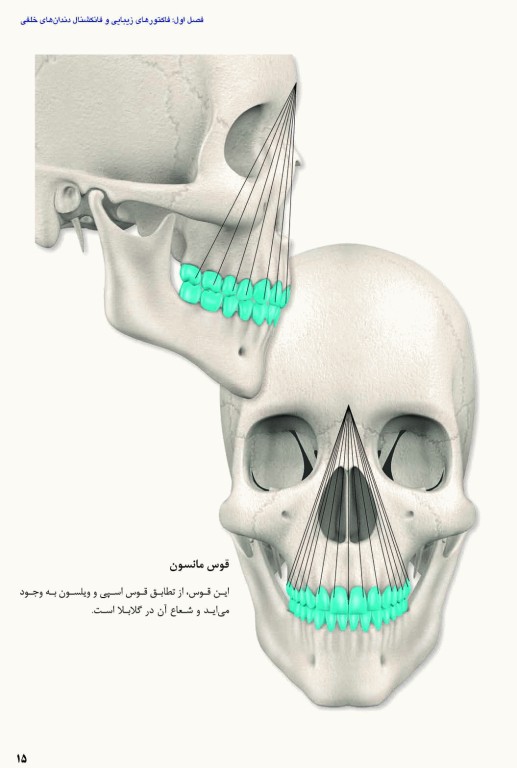 آناتومی و مورفولوژی دندان 2019