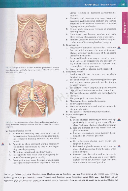 درسنامه جامع دروس پرستاری برای آزمون NCLEX-RN ساندرز پلاس 2023 جلد دوم