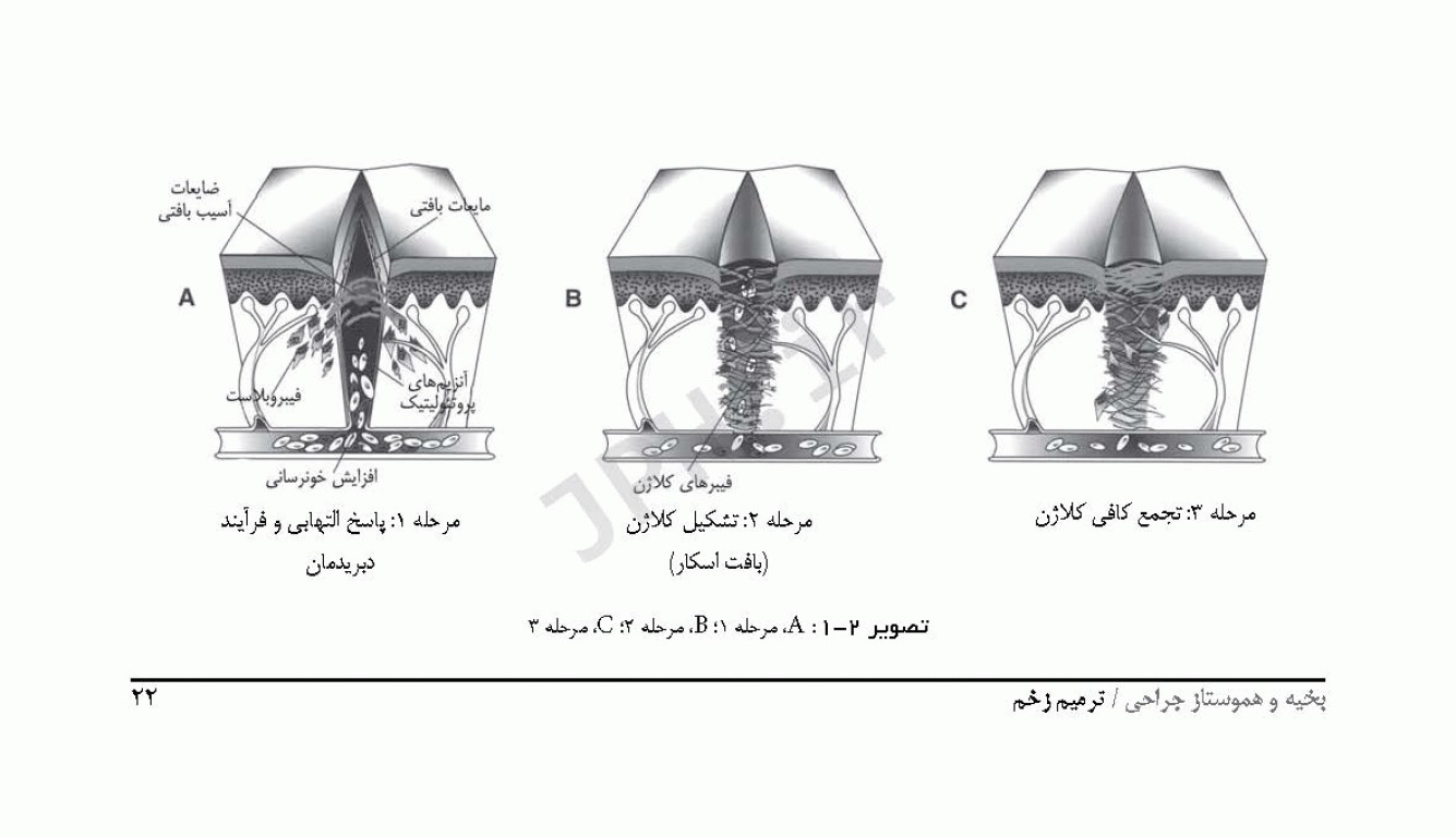 راهنمای جیبی بخیه و هموستاز ساداتی و گلچینی