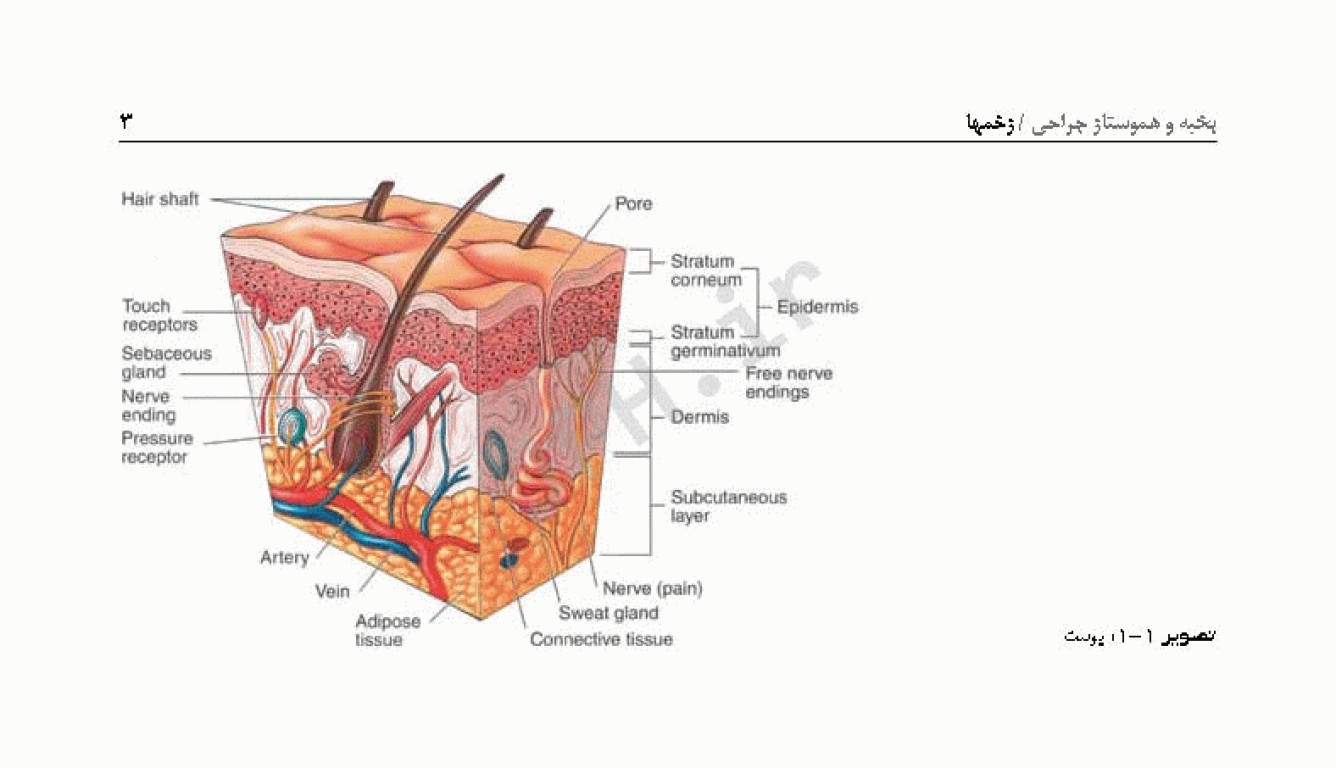 راهنمای جیبی بخیه و هموستاز ساداتی و گلچینی