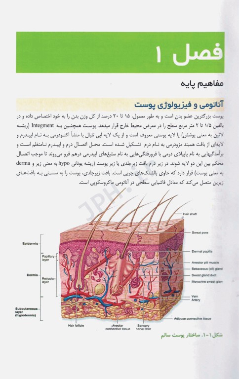 وکیوم تراپی از تئوری تا بالین