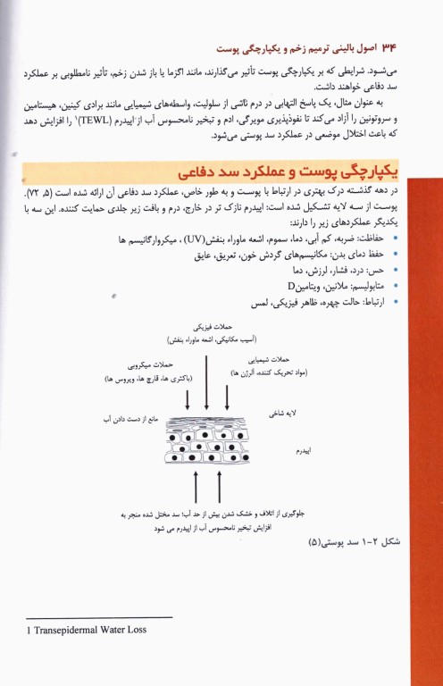 اصول بالینی ترمیم زخم و یکپارچگی پوست
