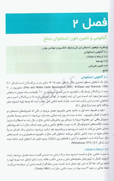 عفونت زخم استرنوم