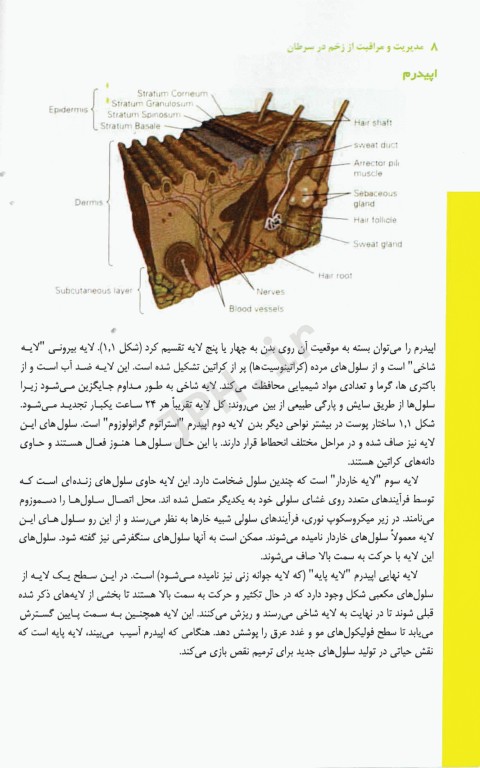 مدیریت و مراقبت از زخم در سرطان